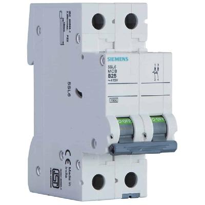 2A 2Pole Betagard Circuit Breaker