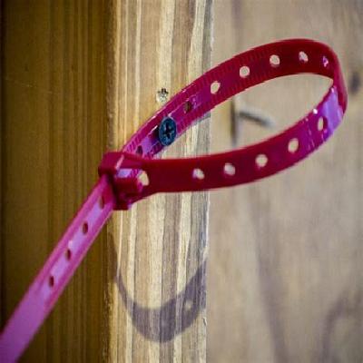 PTR Cable Tie