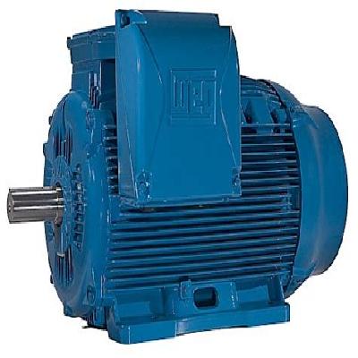 Standard Motor