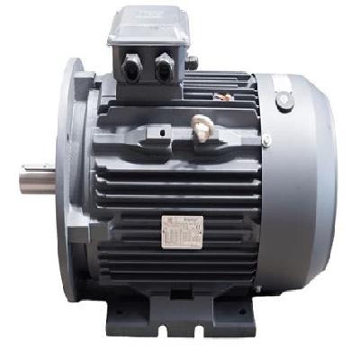Flange Mounted Electric Motor