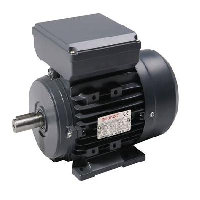 Three Phase AC Motor