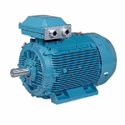 AC Synchronous Motor