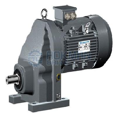Foot Type Single Stage Helical Reduction Geared Motor