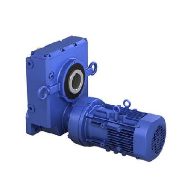 Single Phase Geared Motor