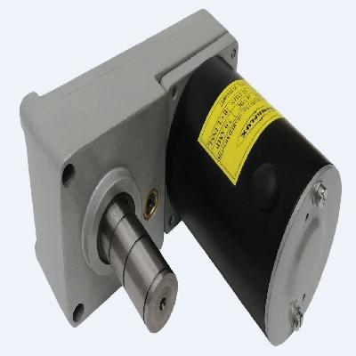 Worm Foot Flange PMDC Geared Motor