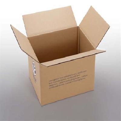 Printed Corrugated Carton Box