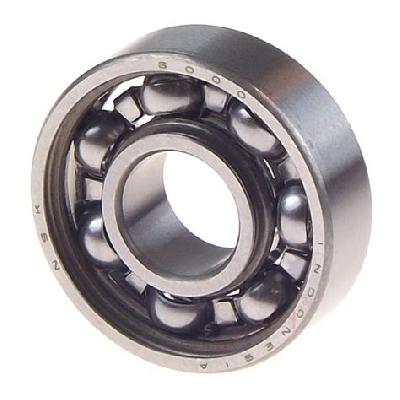Open Type Bearing