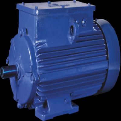 Bharat Bijlee Flame Proof Motor