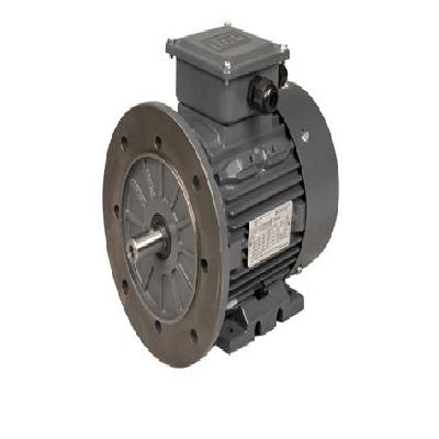 3 Phase Flange Mount Motor