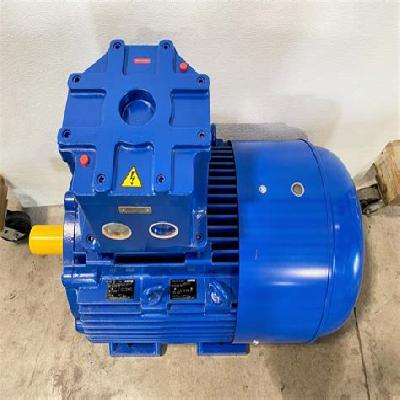 Flame Proof Electric Motor
