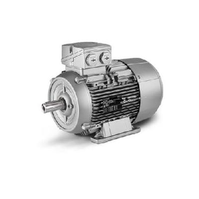 Siemens Low Voltage Electric Motor
