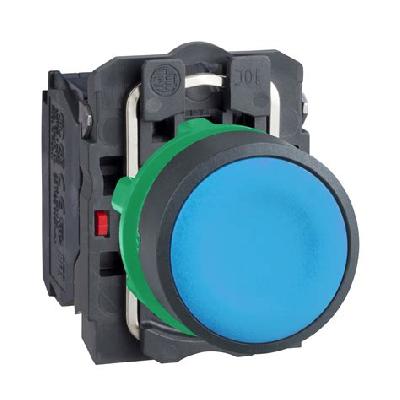 Blue Flush Complete Push Button