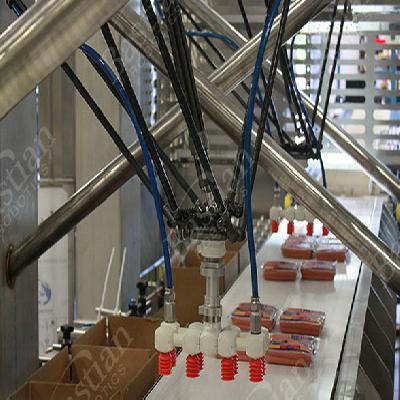 Robotic Case Packing