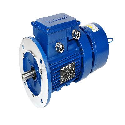 AC Break Motor