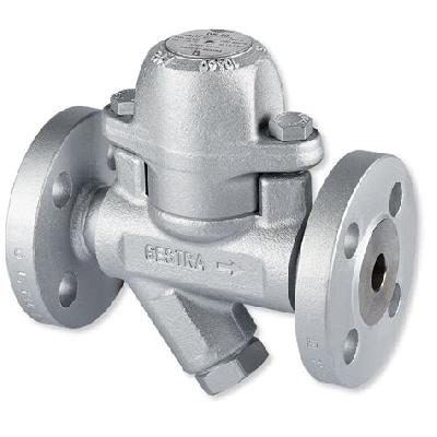 Steam Trap