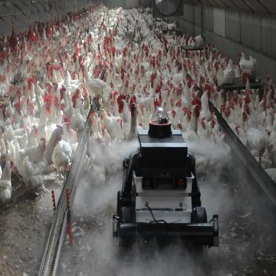 Poultry Automation