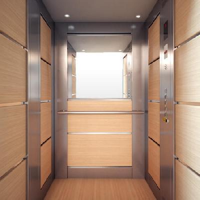 Ultra Traction Home Lift