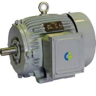 LT Motors