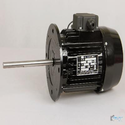 AC Three Phase Induction Motor