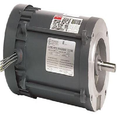 Hazardous Location Motors