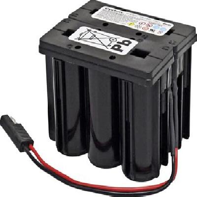 2V-2.5 Ah Cyclone D Type Batteries