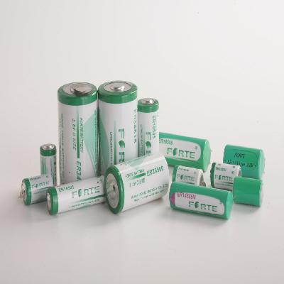 Forte Lithium Batteries