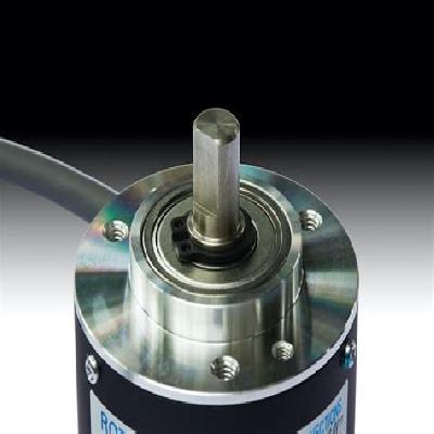 Rotary Encoders