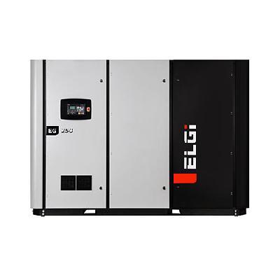 Elgi VFD