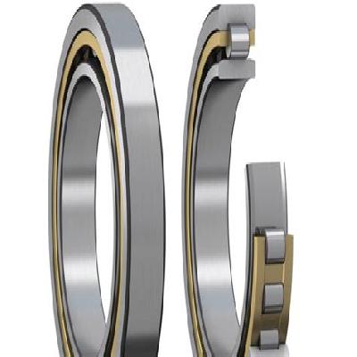 Single Row Cylindrical Roller Bearings
