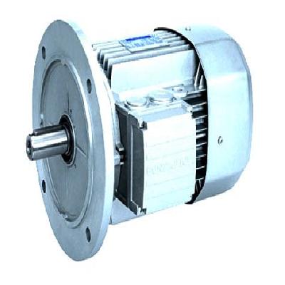 Bonfiglioli Three-Phase Motor IE2