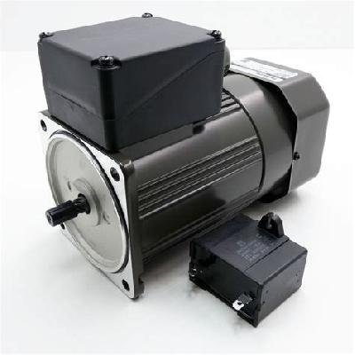 Panasonic Induction Motor