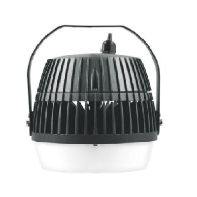 Philips LED Well Glass Luminaire