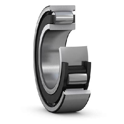 SKF Carb Toroidal Roller Bearing