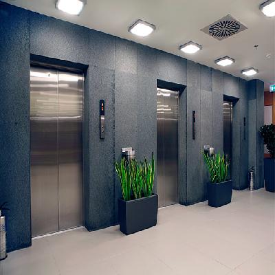Automatic Door Passenger Elevator