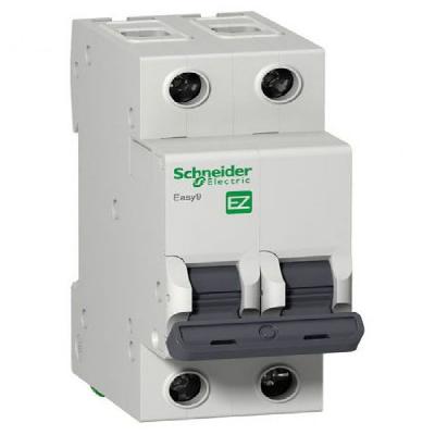 Schneider 32A Double Pole MCCB