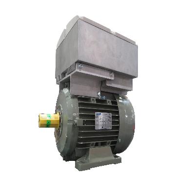 Reluctance Motor