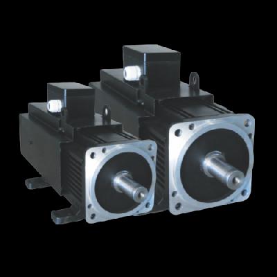 Asynchronous Servo Motors