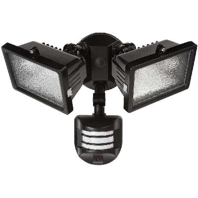 Halogen Flood Light