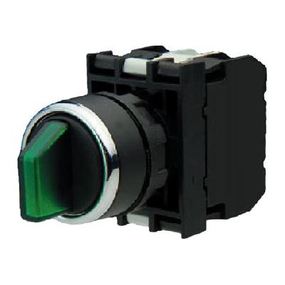 Illuminated Selector Switches