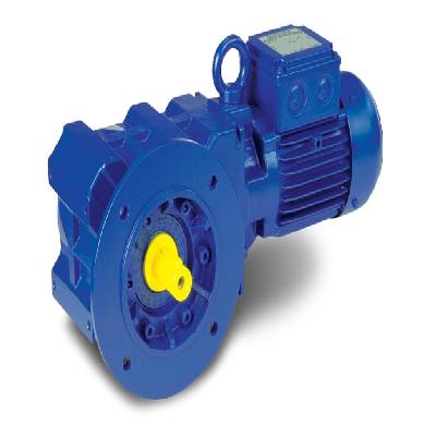 Bauer Gear Motor