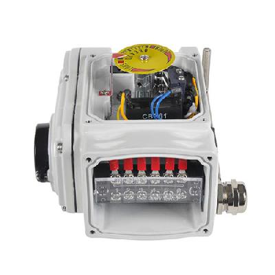 Regulating Electric Actuator