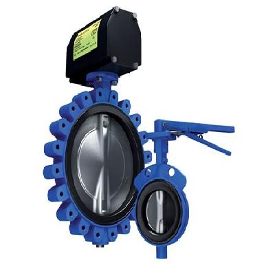 Butterfly Valve