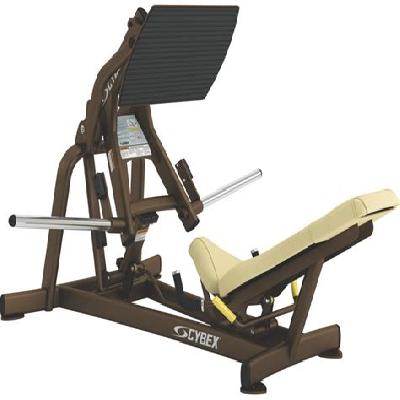 Squat Press