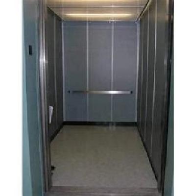 Mild Steel Passenger Lifts