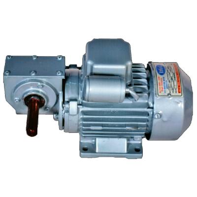 AC Geared Motor