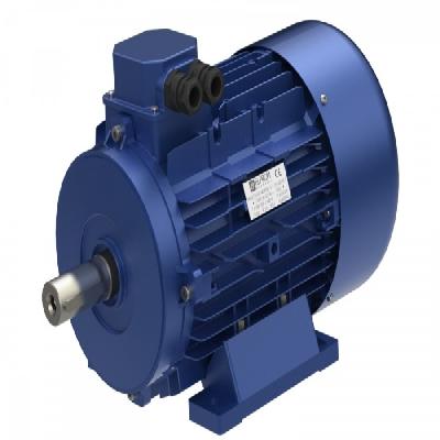 Industrial Three Phase Electric Motor