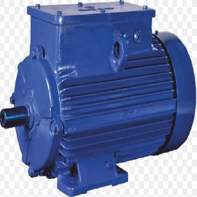 Bharat Bijlee Electric Motor