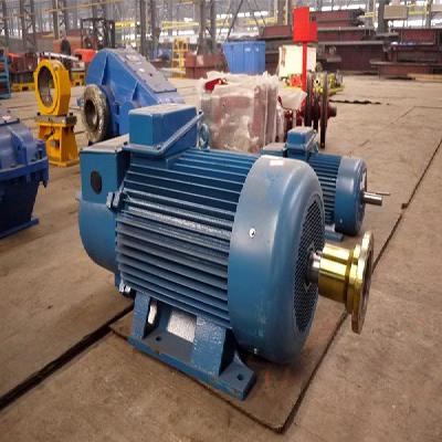 Crane Duty Electric Motor
