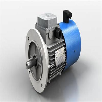 Motovarion Single and Three Phase Motors