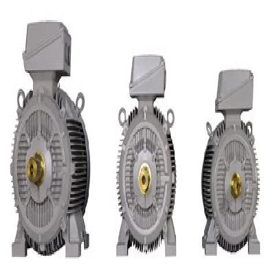 Crompton Motor